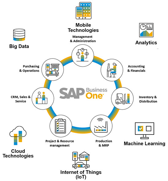 sap business one support